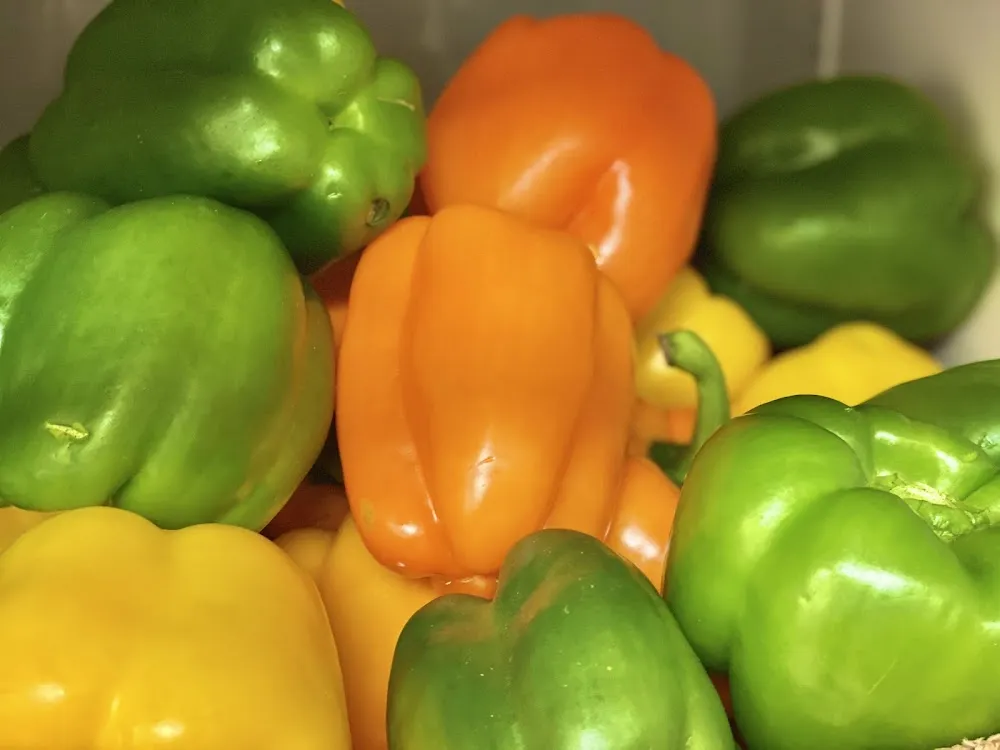 Bell Pepper Casserole